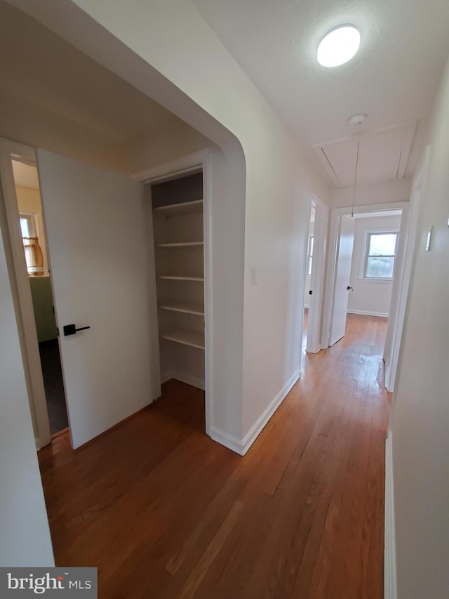 hall featuring hardwood / wood-style flooring