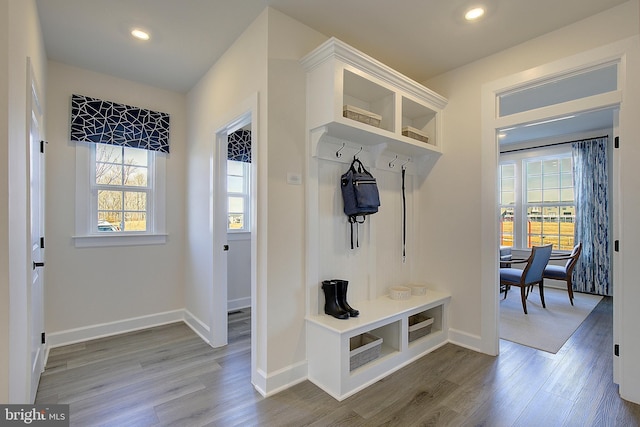 mudroom featuring hardwood / wood-style floors