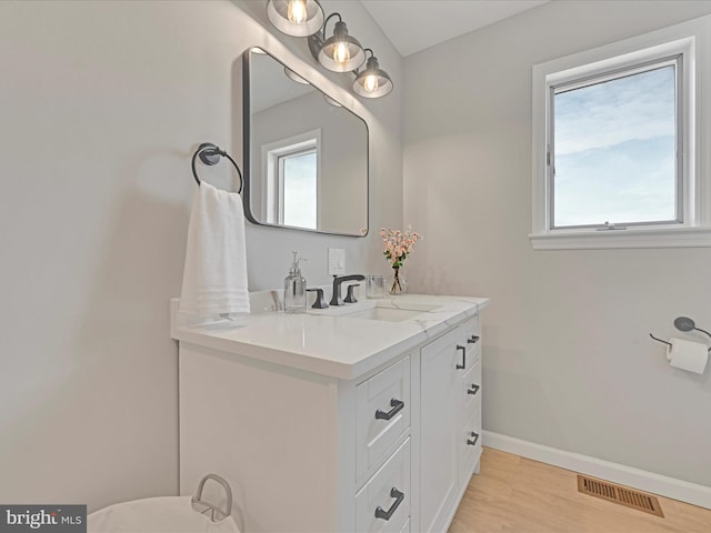 bathroom featuring wood-type flooring and vanity