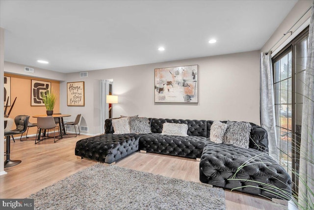 living room with hardwood / wood-style flooring