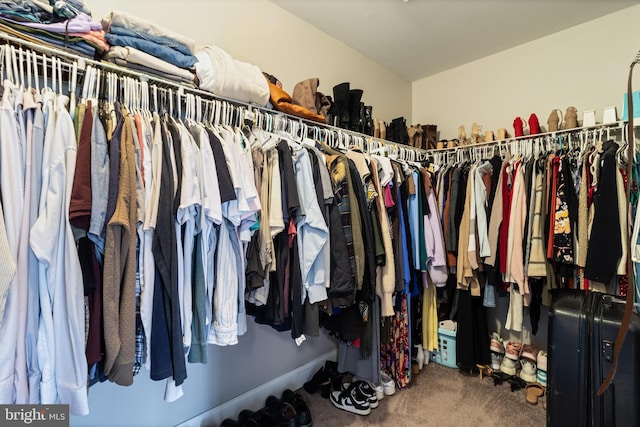 walk in closet featuring carpet flooring