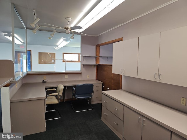 office area with ceiling fan, track lighting, and dark carpet