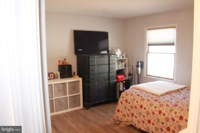 bedroom with hardwood / wood-style floors