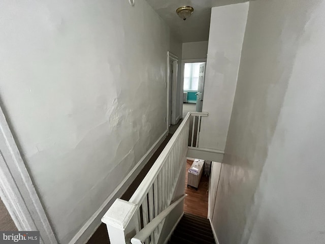 stairway featuring hardwood / wood-style floors