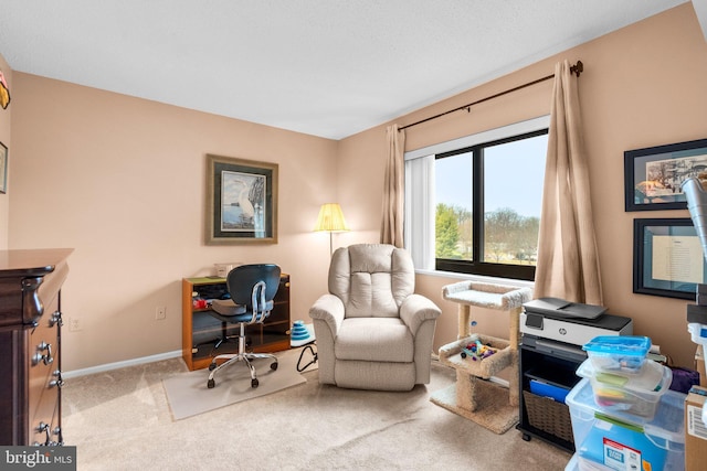 sitting room featuring light carpet