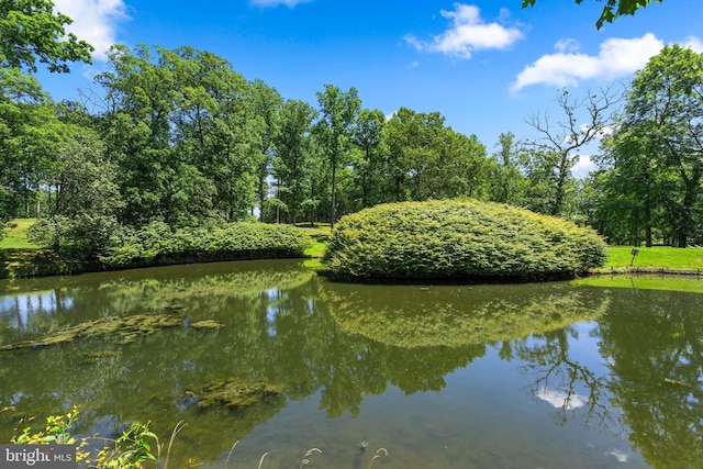 view of water feature