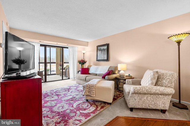 living room featuring a textured ceiling