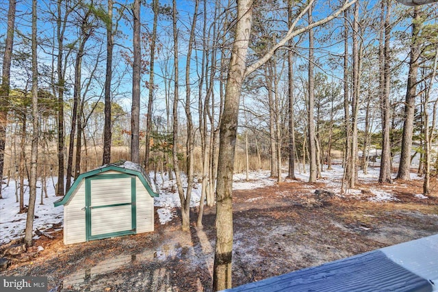 snowy yard with an outbuilding and a shed