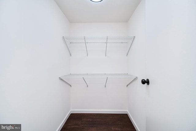 spacious closet with dark hardwood / wood-style flooring