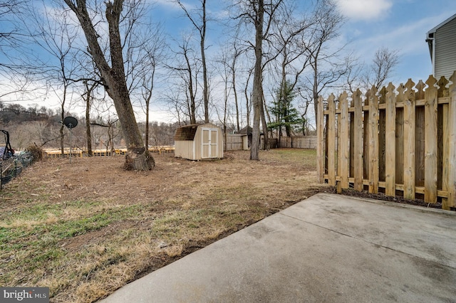 view of yard with a patio area and a storage unit