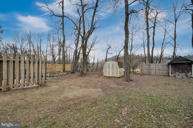 view of yard with a storage shed