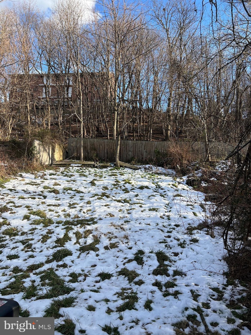 view of yard covered in snow