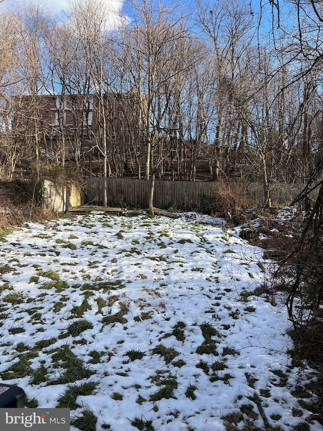 view of yard covered in snow