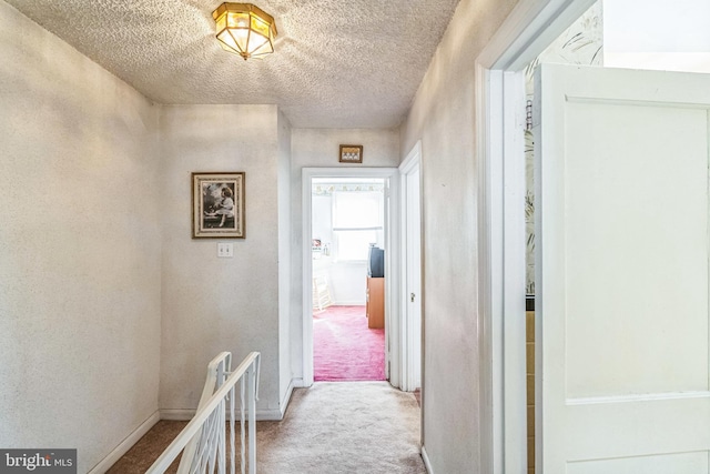 hallway with carpet flooring and a textured ceiling