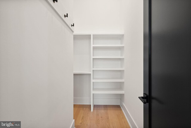 walk in closet featuring light wood-type flooring