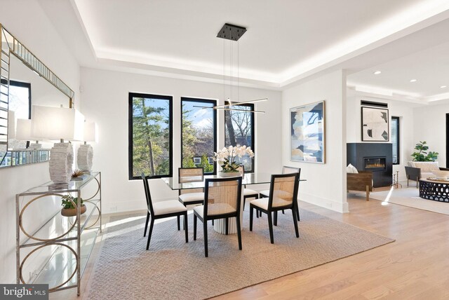 dining area with hardwood / wood-style flooring and a raised ceiling