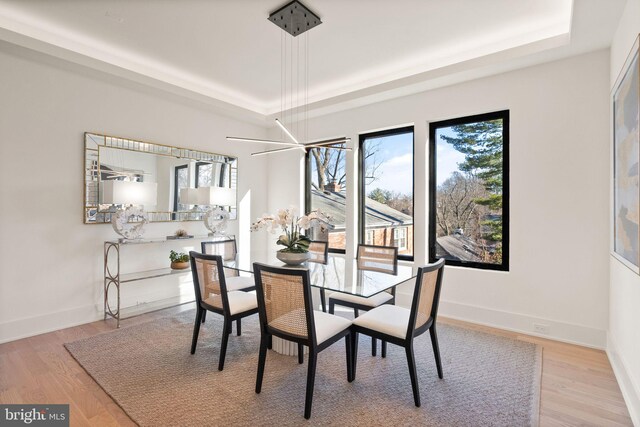 dining area featuring a tray ceiling and light wood-type flooring