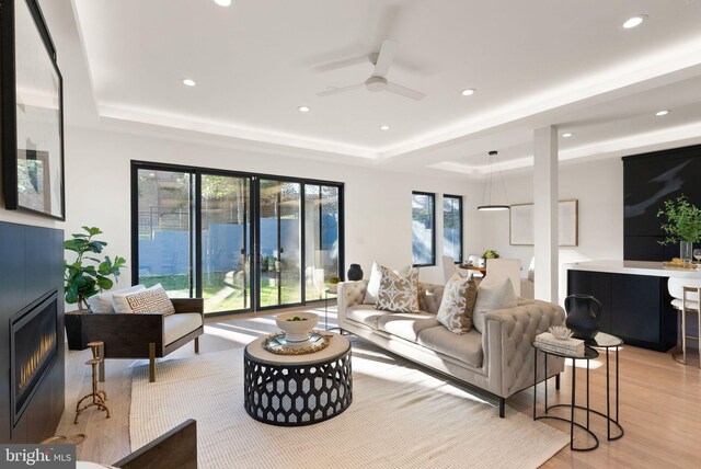 living room featuring ceiling fan, a raised ceiling, and light hardwood / wood-style flooring