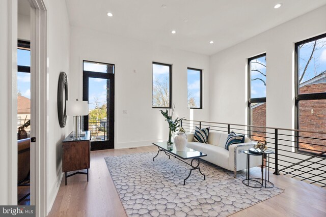 living room featuring light hardwood / wood-style floors