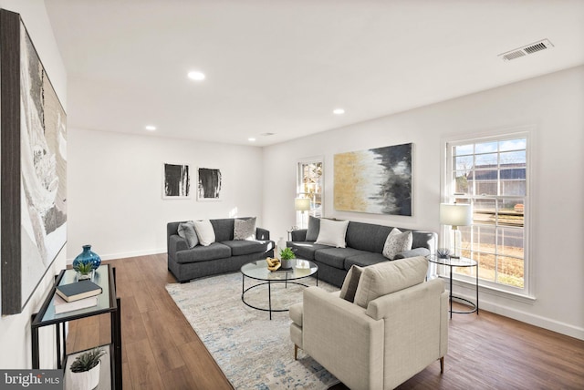 living room featuring hardwood / wood-style flooring and a wealth of natural light