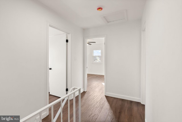 corridor with dark hardwood / wood-style flooring