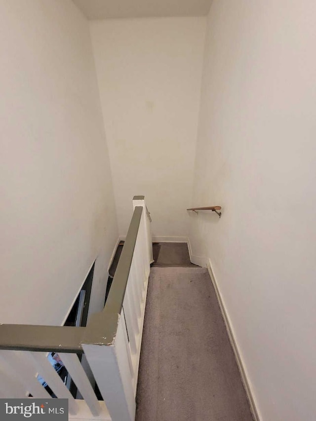 stairway featuring carpet floors and baseboards