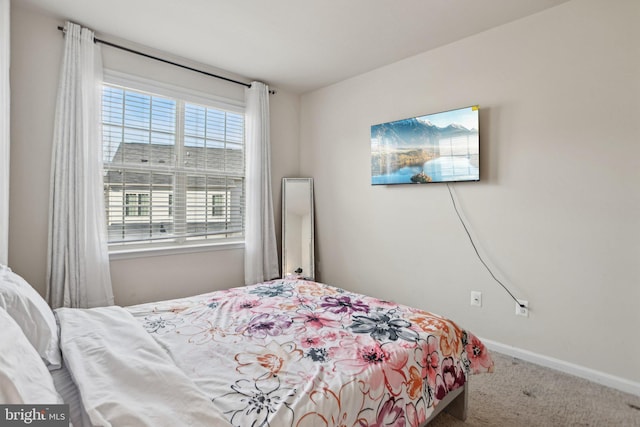 bedroom featuring carpet floors