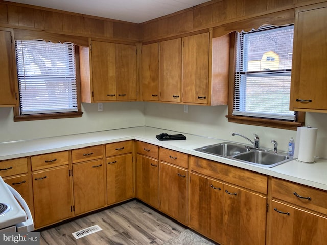 kitchen featuring sink and light wood-type flooring