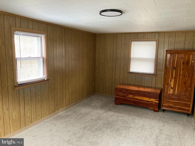 spare room with light colored carpet and wood walls