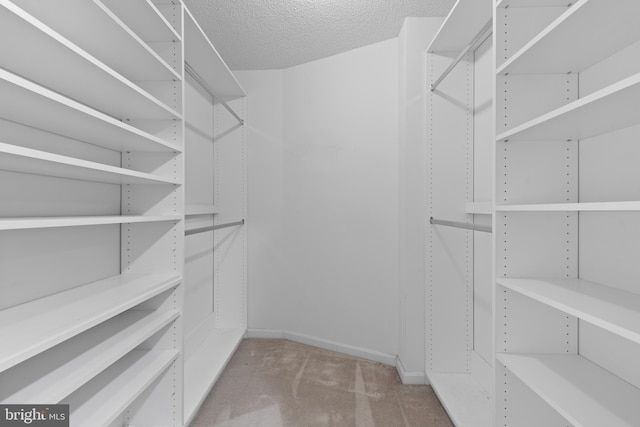 walk in closet with light carpet