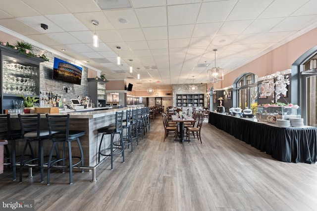 bar with wood-type flooring, a drop ceiling, and crown molding