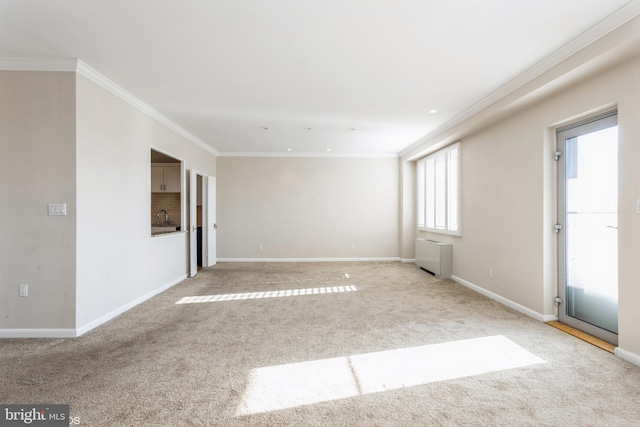 carpeted empty room with crown molding