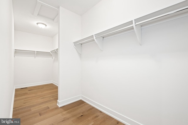 spacious closet featuring light wood-type flooring