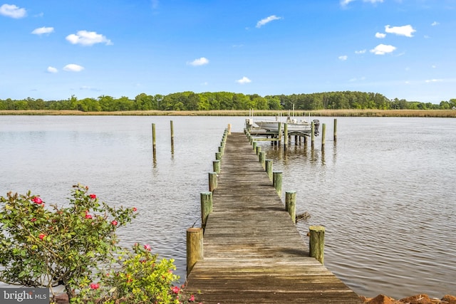 view of dock featuring a water view