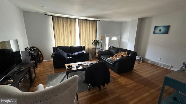 living room featuring wood-type flooring