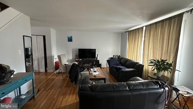 living room featuring wood-type flooring