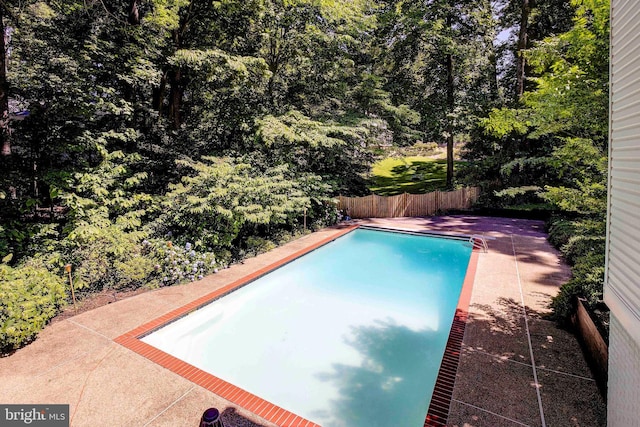 view of pool featuring a patio