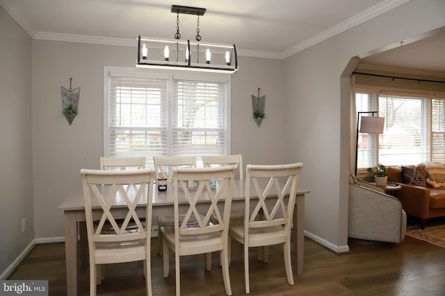 dining room with crown molding, dark hardwood / wood-style floors, an inviting chandelier, and a wealth of natural light