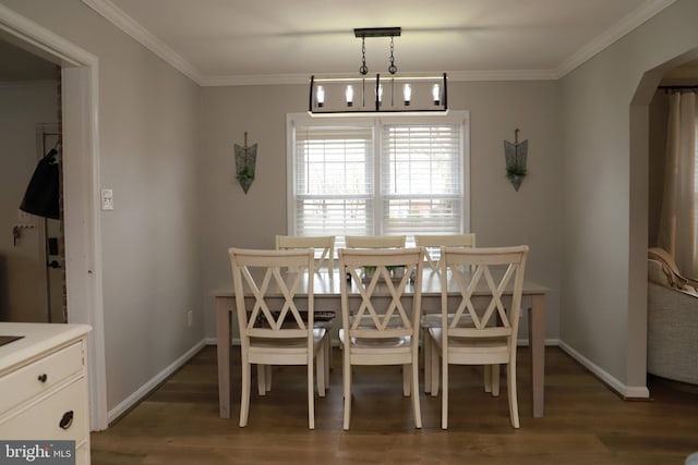 dining area with ornamental molding and dark hardwood / wood-style flooring