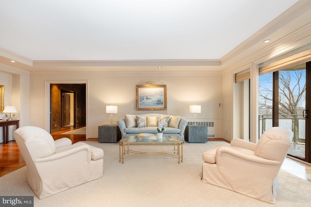 living room featuring crown molding, radiator heating unit, and a tray ceiling