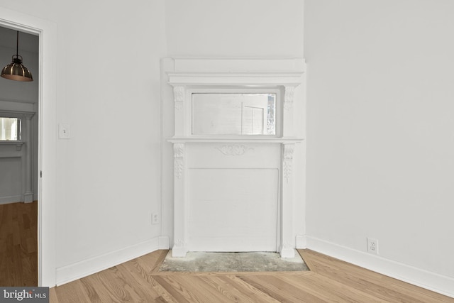 room details featuring wood-type flooring