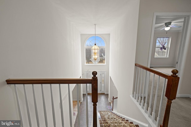 staircase featuring plenty of natural light