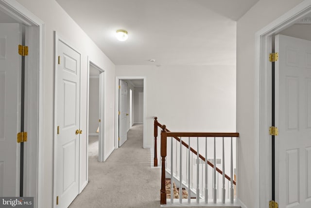 hallway with light carpet