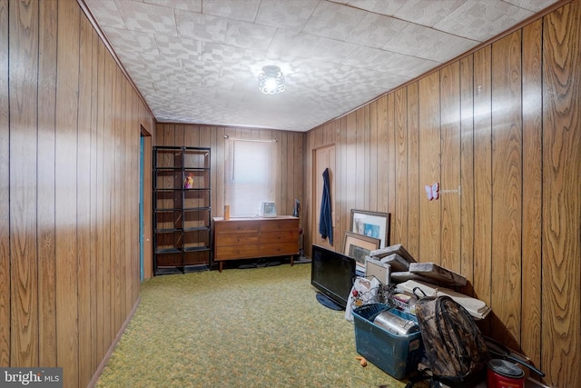 miscellaneous room with wooden walls and carpet flooring