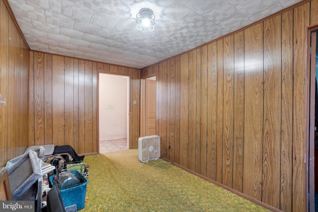 miscellaneous room featuring wooden walls and carpet