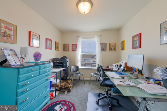 office area featuring carpet