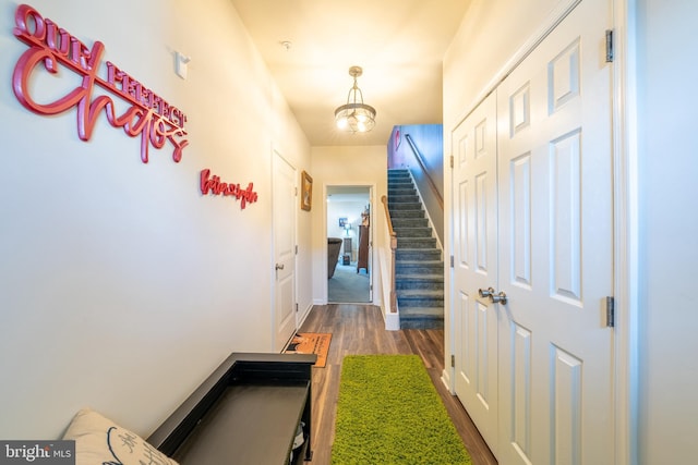 hallway with dark hardwood / wood-style floors