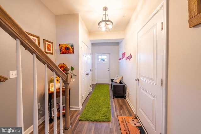 doorway featuring dark hardwood / wood-style flooring