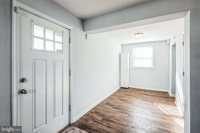 foyer entrance with hardwood / wood-style floors