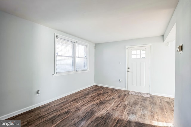 foyer featuring wood-type flooring